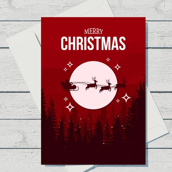 Merry Christmas Card 2